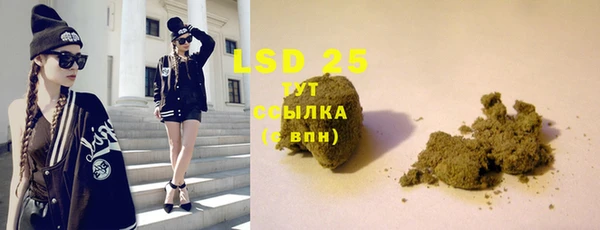 стафф Вязьма