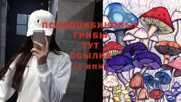 соль ск Вязники