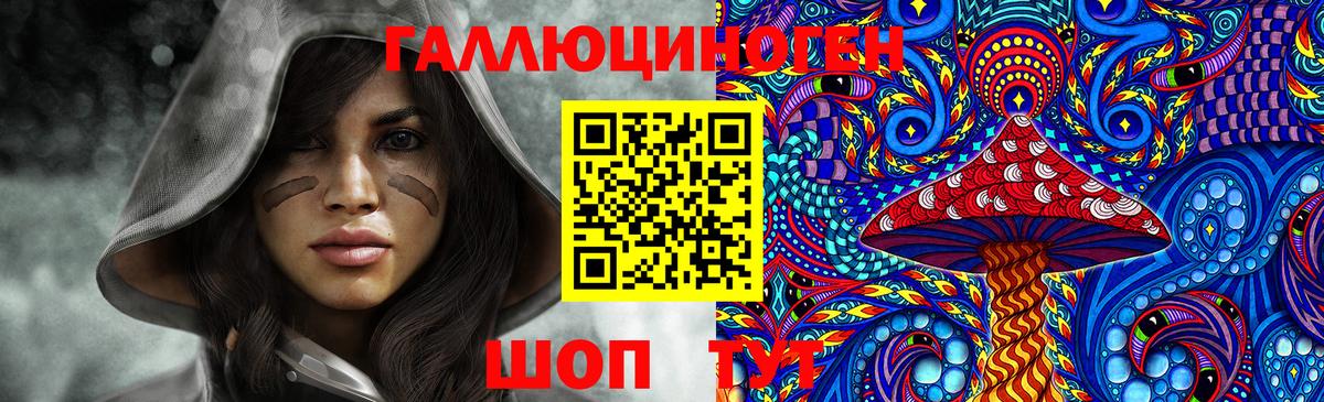 Галлюциногенные грибы Psilocybine cubensis Медногорск