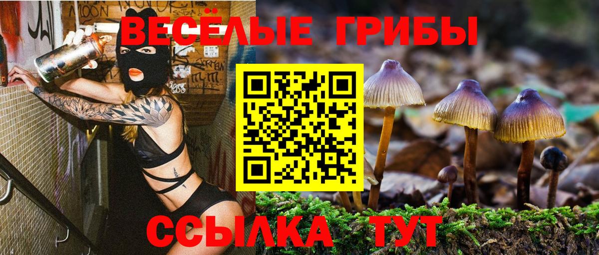 Псилоцибиновые грибы GOLDEN TEACHER  Галлюциногенные грибы Psilocybe  Медногорск 