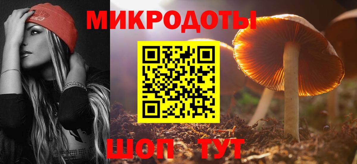 купить наркоту  Вход с VPN  Галлюциногенные грибы прущие грибы  Медногорск  Галлюциногенные грибы MAGIC MUSHROOMS 